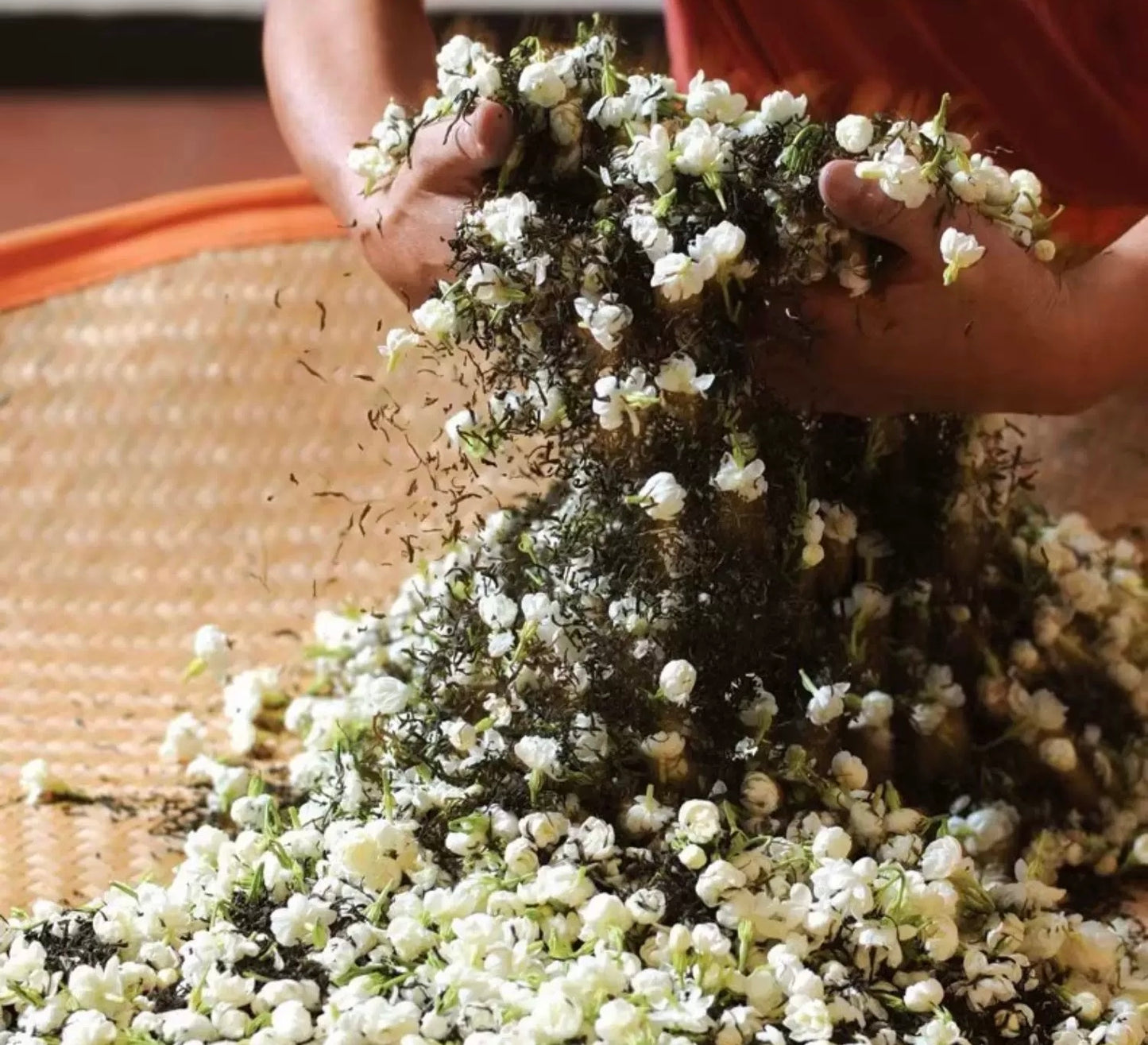 Thé au Jasmin 160g - Une tasse de fraîcheur pour votre quotidien