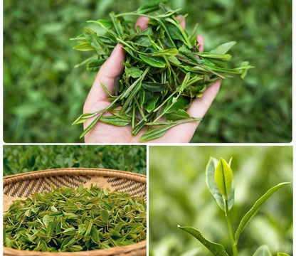 Longjing Tea 100g - King of Green Teas