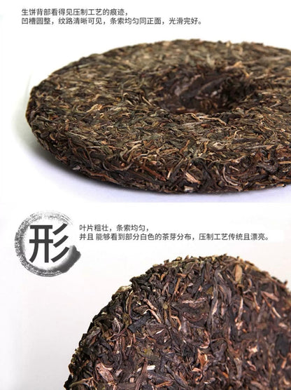 Thé Pu’er en Galette 357g - Une Saveur Qui S’Améliore Avec le Temps